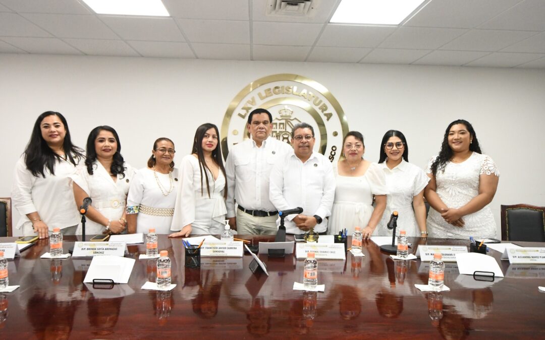 Rinde protesta ante la Comisión Permanente, Patricio Andrés Arévalo Moguel como integrante de la LXV Legislatura