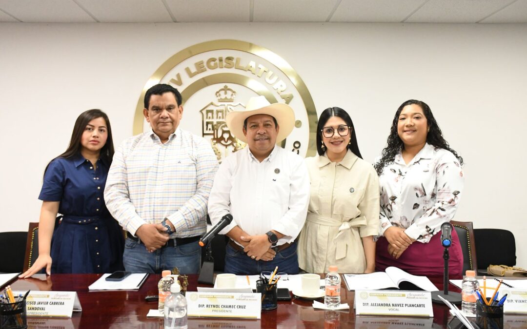Plantean establecer mayor representación de los jóvenes indígenas en política