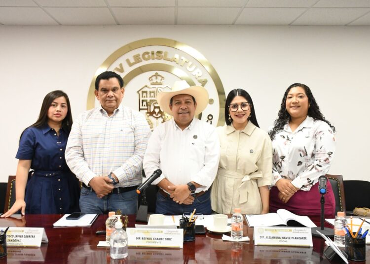 Plantean establecer mayor representación de los jóvenes indígenas en política
