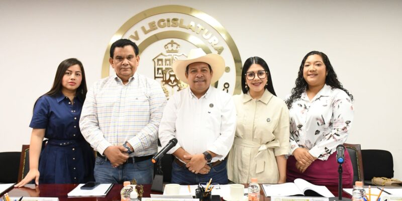 Plantean establecer mayor representación de los jóvenes indígenas en política