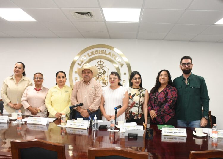 Da entrada Comisión Permanente a propuesta para incrementar sanciones por acoso y violencia sexual digital en menores de edad