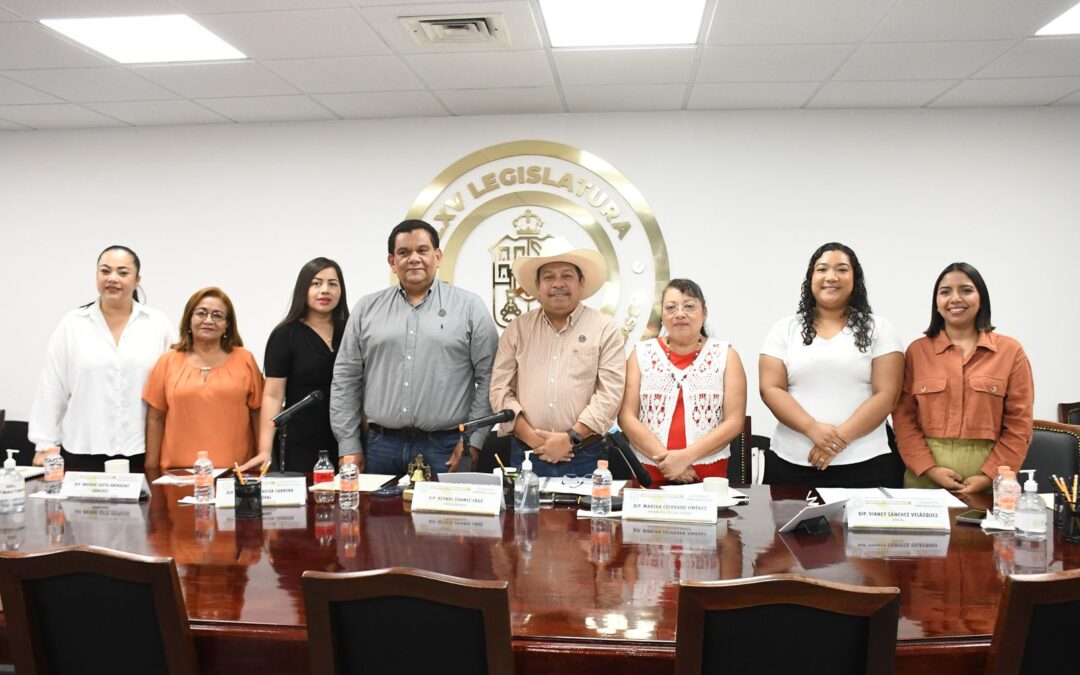 Da entrada Comisión Permanente a propuestas en materia de salud materna y de fortalecimiento municipal