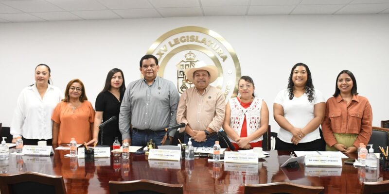 Da entrada Comisión Permanente a propuestas en materia de salud materna y de fortalecimiento municipal