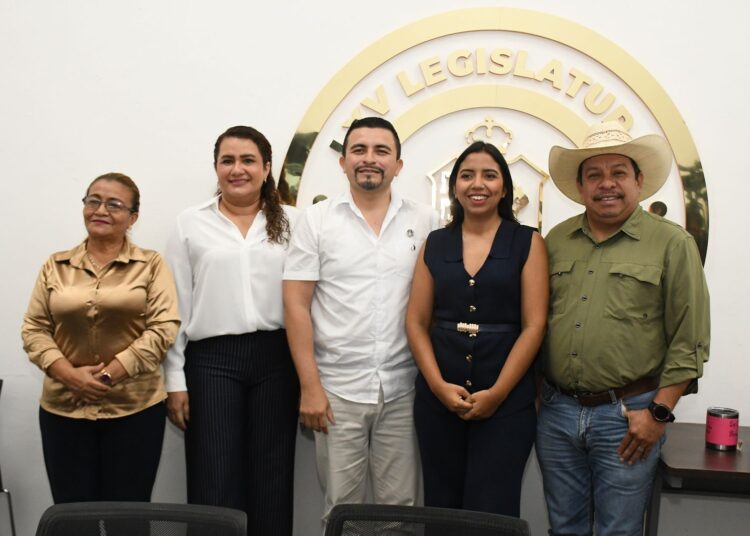 Realizará Comisión de Salud el Primer Foro de Autismo del Estado de Tabasco