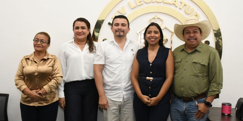 Realizará Comisión de Salud el Primer Foro de Autismo del Estado de Tabasco