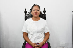Diputada Araceli Mendoza Juarez